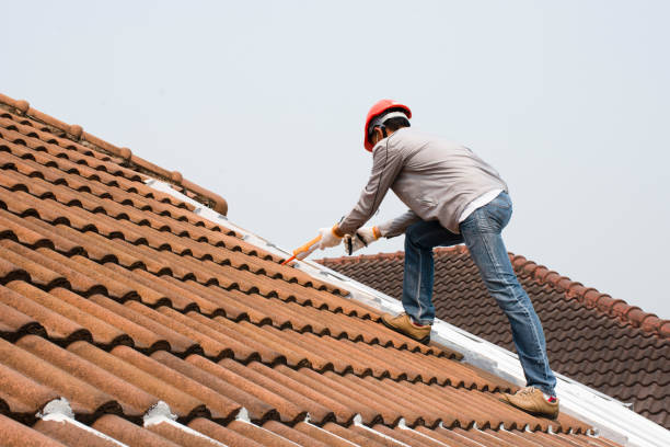 Best Chimney Flashing Repair  in Heber Overgaard, AZ