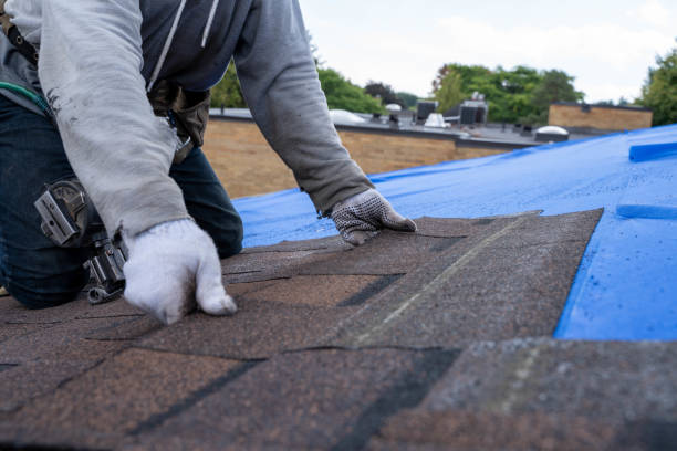 Best Gutter Installation and Repair  in Heber Overgaard, AZ