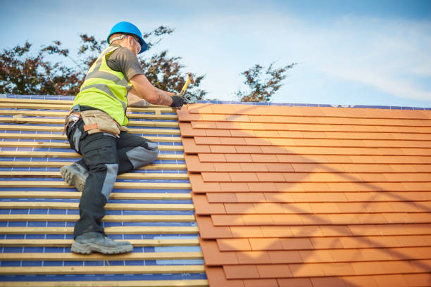 Reliable Heber Overgaard, AZ  Roofing repair and installation Solutions